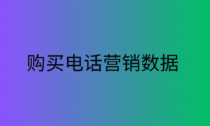 购买电话营销数据