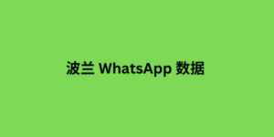 波兰 whatsapp 数据