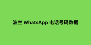 波兰 whatsapp 电话号码数据