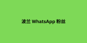 波兰 whatsapp 粉丝