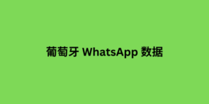 菲律宾 whatsapp 粉丝