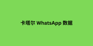 卡塔尔 whatsapp 数据