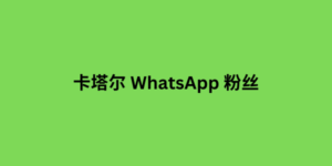 卡塔尔 whatsapp 粉丝