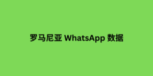 罗马尼亚 whatsapp 数据