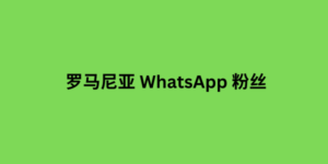 罗马尼亚 whatsapp 粉丝